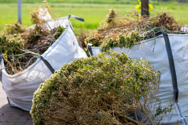 Best Hoarding Cleanup  in The Homesteads, TX